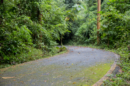 road way to the jungle rain forest in Thailandの写真素材