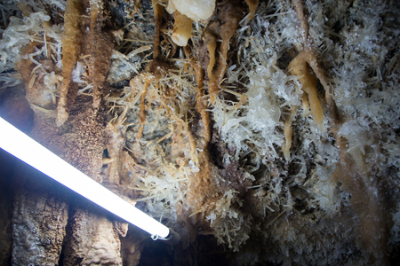 Stalactites and stalagmites stone undergroound cave in Thailand mountain. Beauty in nature concept.の写真素材