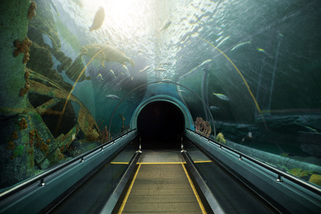 aquarium walk way indoor interior for sea life educationのeditorial素材