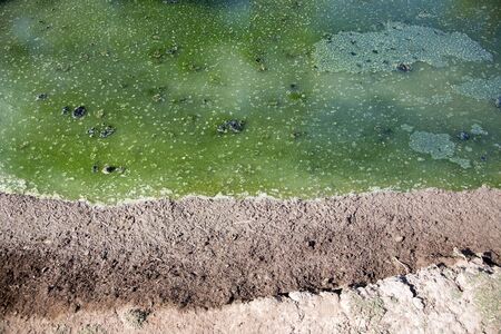dirty poision water with chemical toxic on water pond and beach
