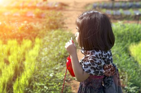 cute asian kid playing bubble toy on green field. Beautiful outdoor activities momentの写真素材