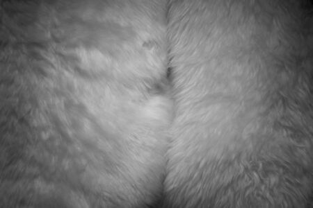 abstract long pluffy texture background in dark roomの写真素材