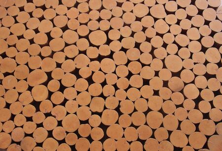 cutting log decoration backgroundの写真素材