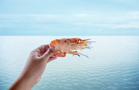 buring fresh pawn seafood on ocean sea with human hamdの写真素材