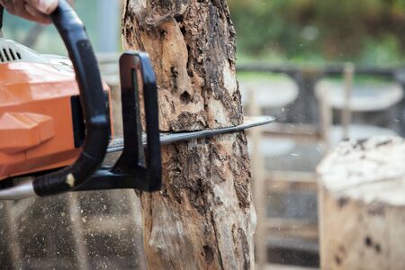 cuttung wood with chainsaw engine for log on forest の写真素材