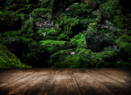 wood top board on rain forest background for display nature productの写真素材