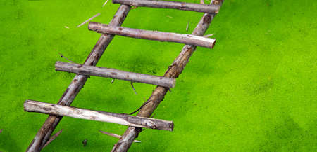 wood stair cross green pond in banner sizeの写真素材