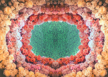 colouful rose flower bush decoration for photo backgdrop in romantic conceptの写真素材