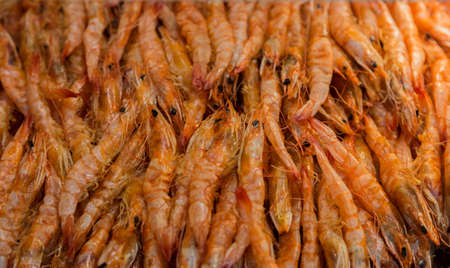 close up boiled shrimp in seafood meal