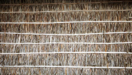 dry coconut leaf and bamboo wood texture of fence from nature backgroundの写真素材