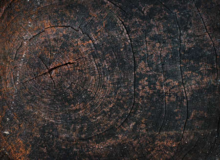 abstract old wood texture of nature backgroundの写真素材