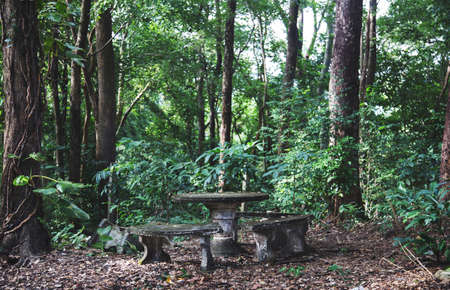 focus old cement seat and table to relax on public parkの写真素材