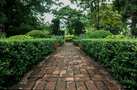 public park in english garden concept for outdoor backgroundの写真素材