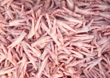 fresh feet of chicken in raw food materailの写真素材