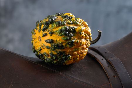 Lying pumpkinの写真素材