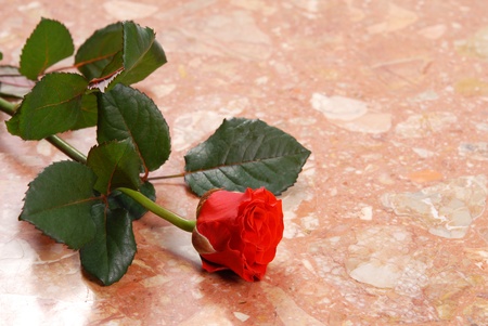 red rose lying on the marbleの写真素材