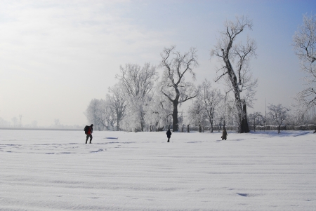 Winter landscapeの写真素材