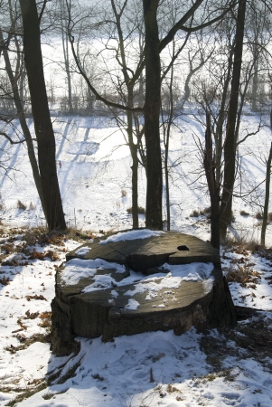 Winter landscape . Felled tree stump on a frosty winter day .の写真素材