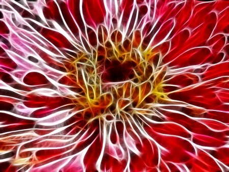 Unique abstract fractal flower fusion in red and yellowの写真素材
