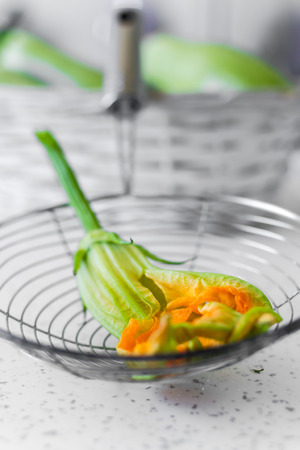 Zucchini blossom close up backgroundの写真素材