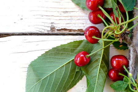 Branch with red cherries and leaves on a white table - closeupの写真素材