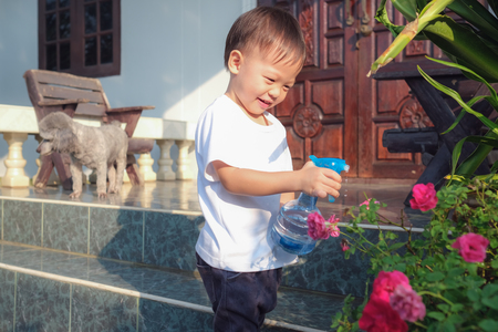 Cute little Asian 2 - 3 years old toddler boy child having fun using spray bottle watering pink rose flowers at home in sunny morning, Little home helper, chores for kids, child development conceptの写真素材