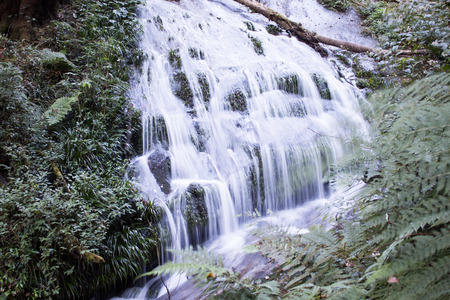 waterfall at the forest