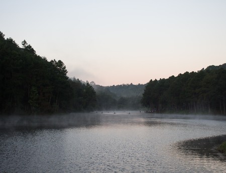 Foggy morning at the lakeの写真素材
