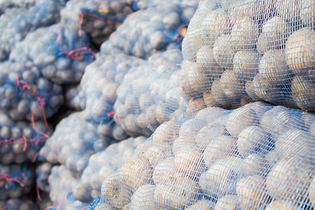 Potatoes packs to processedの写真素材