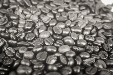 Coffee bean used for background, Black and whiteの写真素材