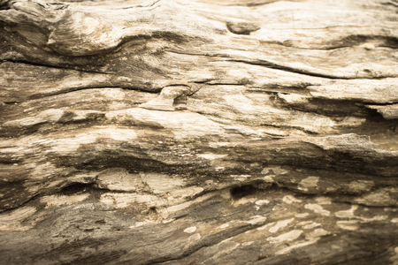 wooden texture used for backgroundの写真素材