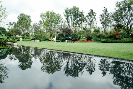Tree reflection on lake at garden parkの写真素材