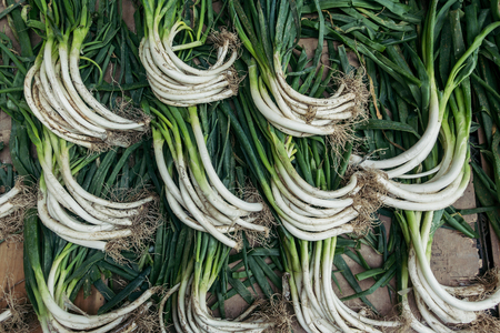 green onions in the farmer's marketの写真素材