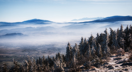 Mountain panorama from winter peak. Polish Beskidy.の写真素材