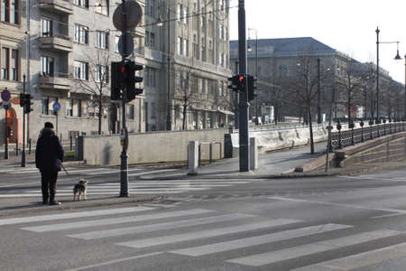 BUDAPEST, HUNGARY -DECEMBER 17, 2017: a man with a dog on a leash stands in front of a pedestrian...