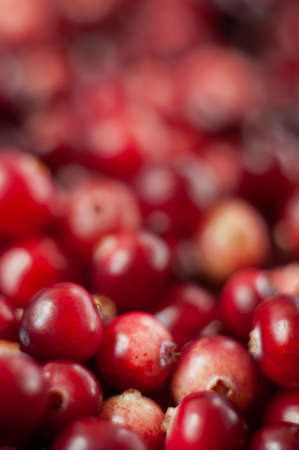 The cranberries. Small forest red berry. A scattering of cranberries. Vitamins from nature. Macro photo. Selective focus.の写真素材