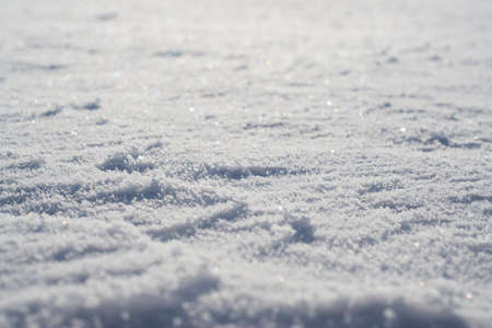Cold winter. Snow texture.の写真素材