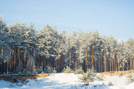 Winter holiday. Nature. Snow.の写真素材