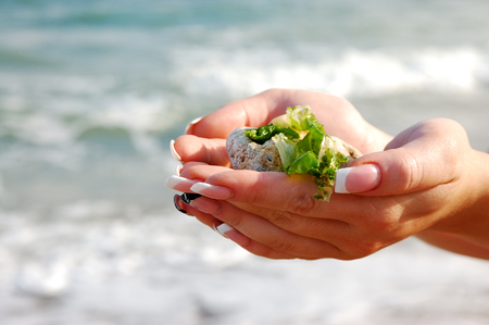 female hands with sea pebbles on the sea backgroundの写真素材