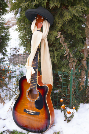 The guitar in a men's peak-cap with a scarf costs near a green thuja in snowの写真素材