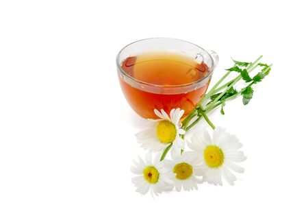 tea with daisies isolated on white backgroundの写真素材