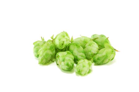 Hop isolated on a white backgroundの写真素材
