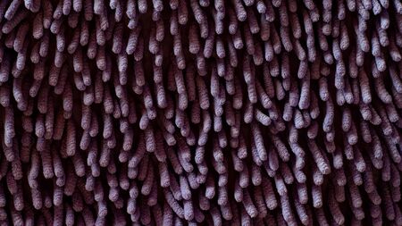 Purple texture. Long carpet pile.