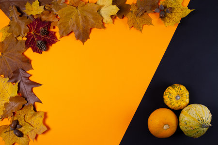 Autumn leaves and pumpkins on a black and orange background.の写真素材