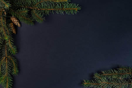 Christmas background with fir branches and cones on black background. Flat lay, top view.