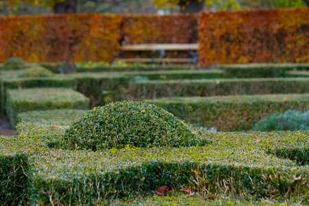 Garden with hedge and bench in the park in autumn season.の写真素材