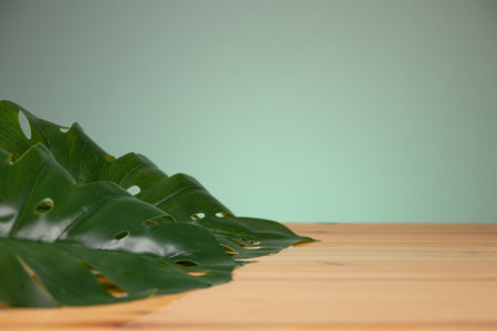 Tropical leaves on wooden table in front of green background.