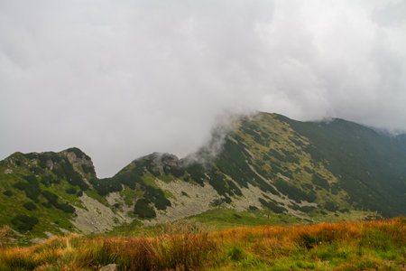 Mountains in the clouds. Carpathian, Ukraine, Europe