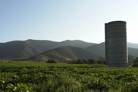               Landscape of field pataguilla Chile, cement silo to store the harvest of corn.                 の写真素材