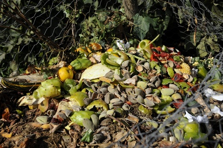 Landfill, ecological waste, recycle 